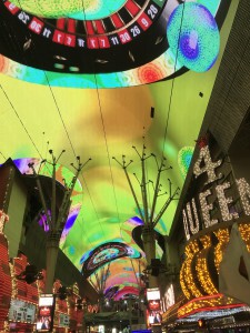 IMG_1321
