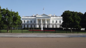 DSCF2221